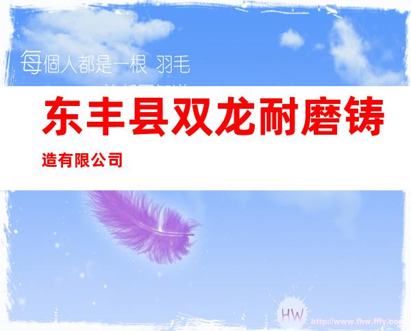 东丰县双龙耐磨铸造有限公司