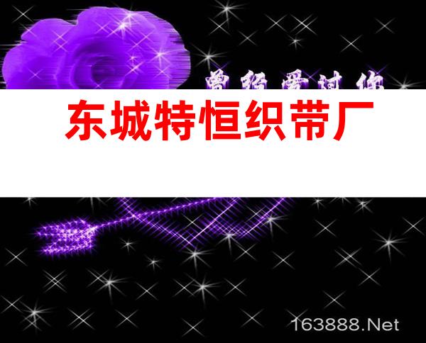 东城特恒织带厂