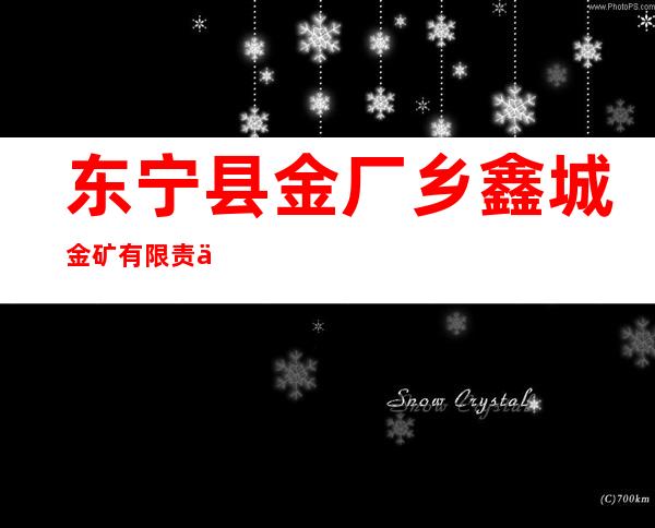 东宁县金厂乡鑫城金矿有限责任公司