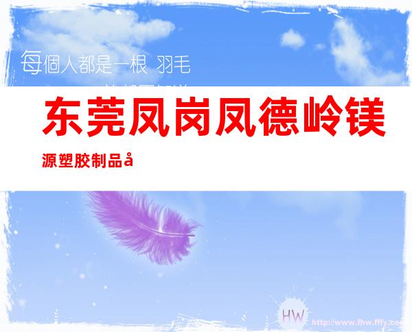东莞凤岗凤德岭镁源塑胶制品厂