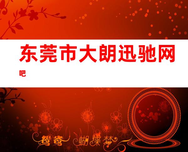东莞市大朗迅驰网吧