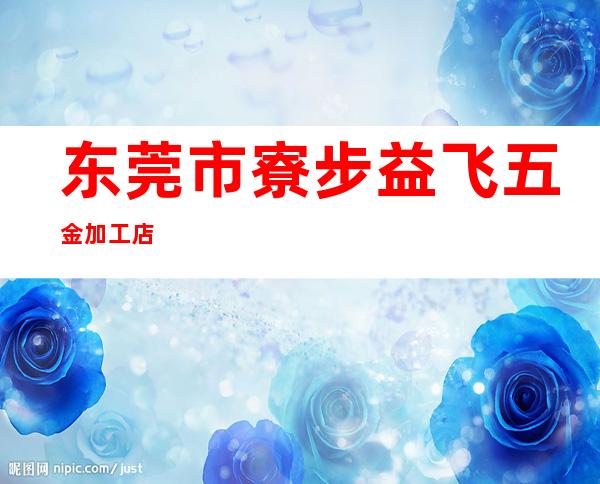 东莞市寮步益飞五金加工店