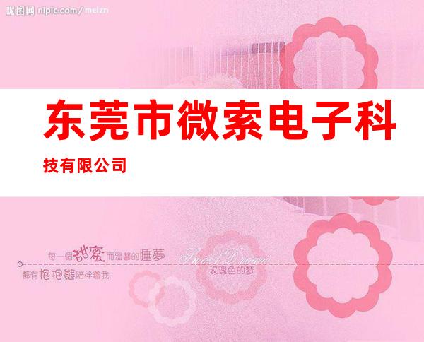 /东莞市微索电子科技有限公司