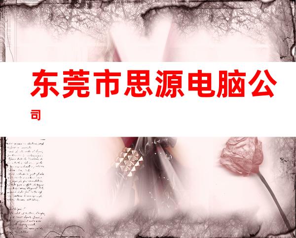 东莞市思源电脑公司