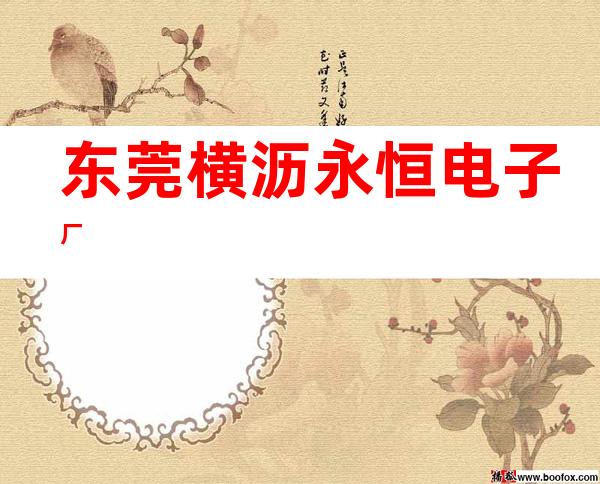 东莞横沥永恒电子厂