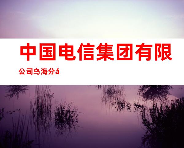 中国电信集团有限公司乌海分公司