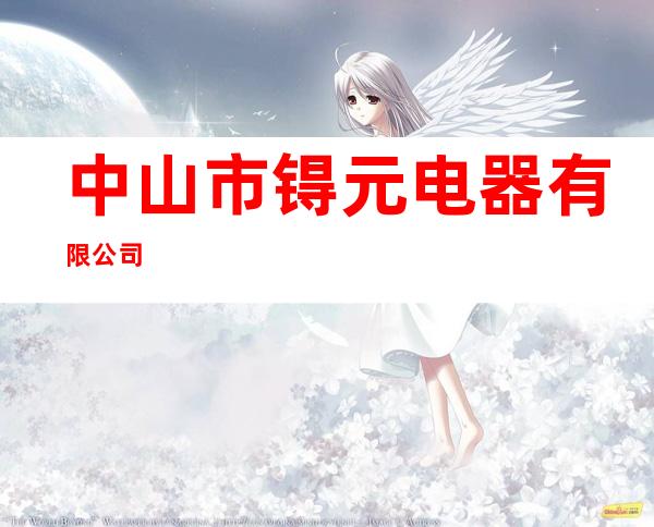 中山市锝元电器有限公司
