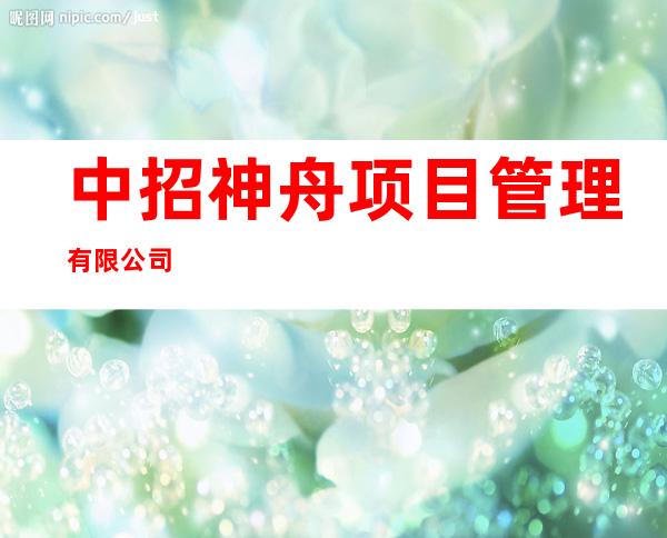 中招神舟项目管理有限公司