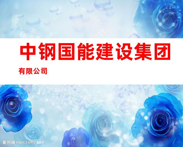 中钢国能建设集团有限公司