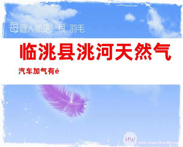 临洮县洮河天然气汽车加气有限公司