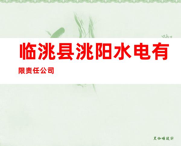 临洮县洮阳水电有限责任公司