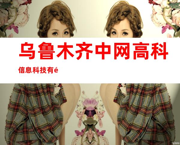 乌鲁木齐中网高科信息科技有限公司