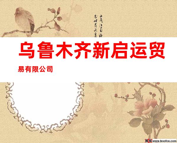 乌鲁木齐新启运贸易有限公司