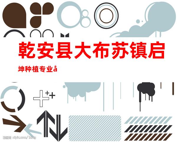 乾安县大布苏镇启坤种植专业合作社