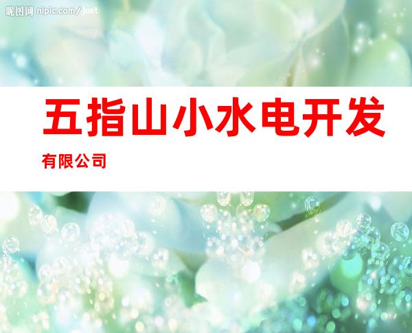 五指山小水电开发有限公司