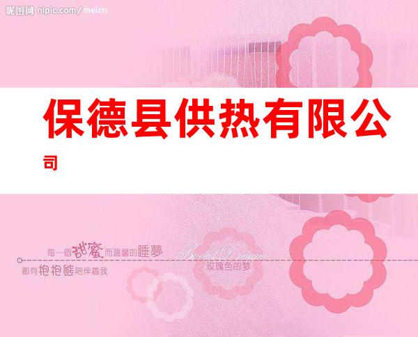 保德县供热有限公司