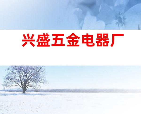 兴盛五金电器厂