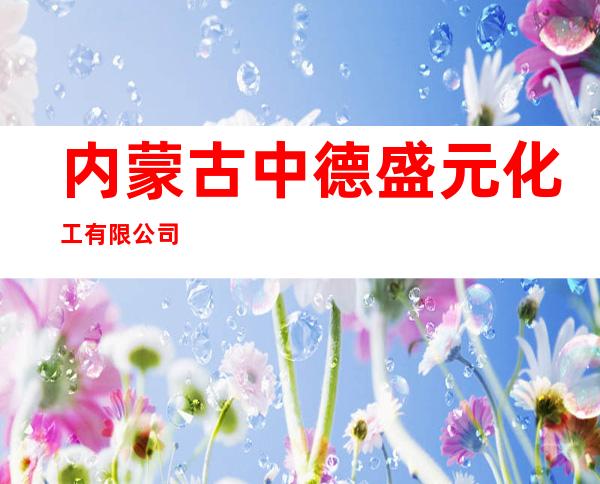 内蒙古中德盛元化工有限公司
