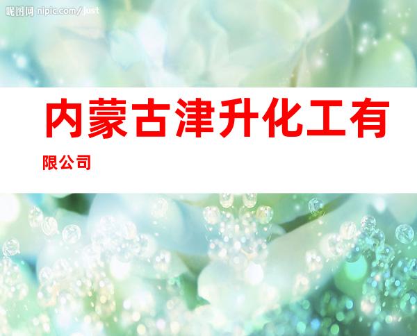 内蒙古津升化工有限公司