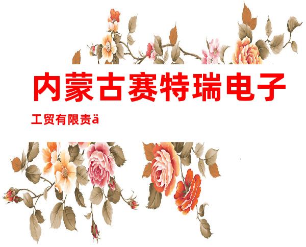 内蒙古赛特瑞电子工贸有限责任公司