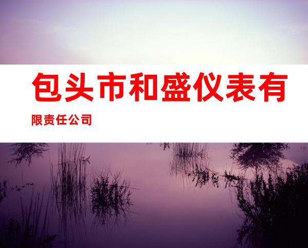 包头市和盛仪表有限责任公司