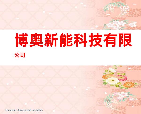 博奥新能科技有限公司