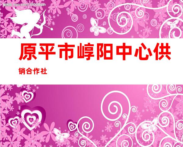 原平市崞阳中心供销合作社