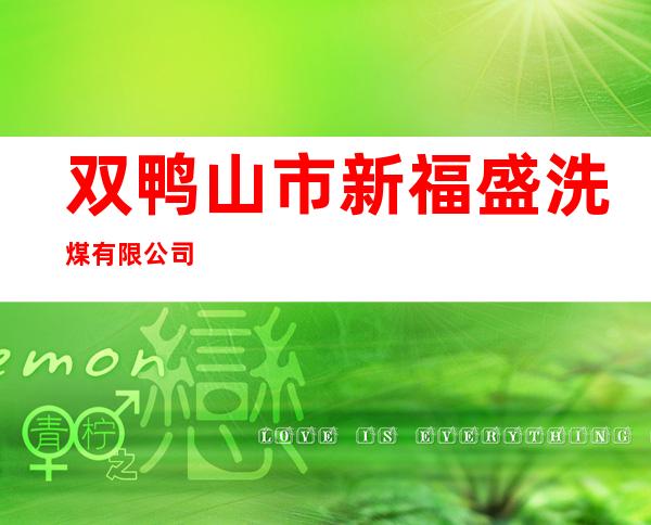 双鸭山市新福盛洗煤有限公司