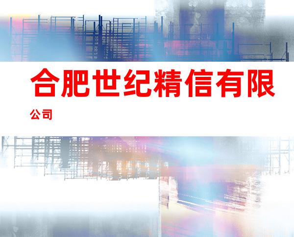 合肥世纪精信有限公司