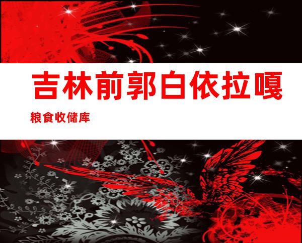 吉林前郭白依拉嘎粮食收储库