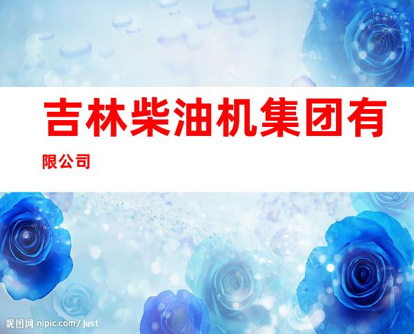 吉林柴油机集团有限公司