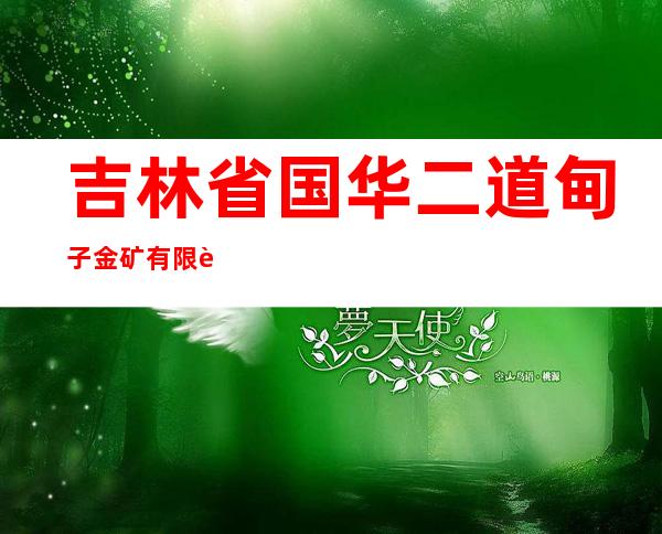 吉林省国华二道甸子金矿有限责任公司
