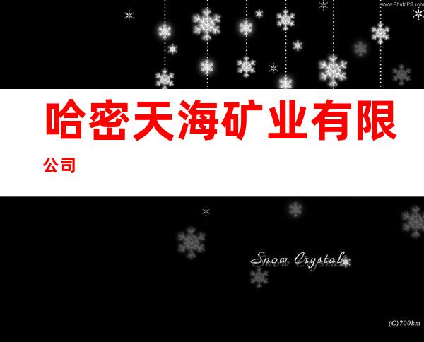 哈密天海矿业有限公司