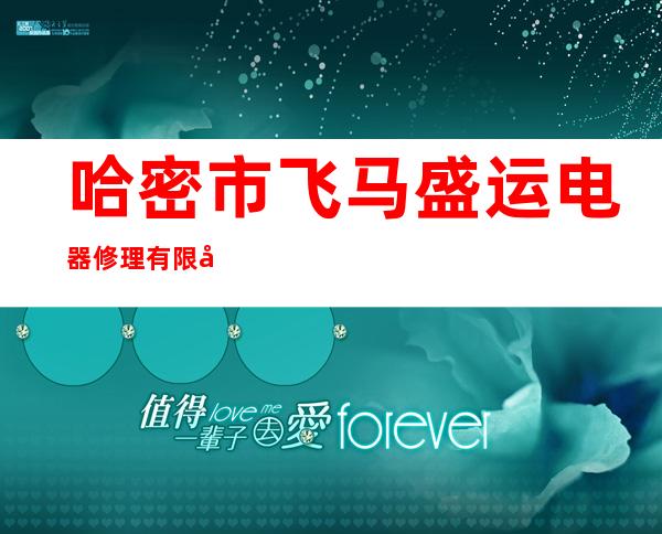 哈密市飞马盛运电器修理有限公司