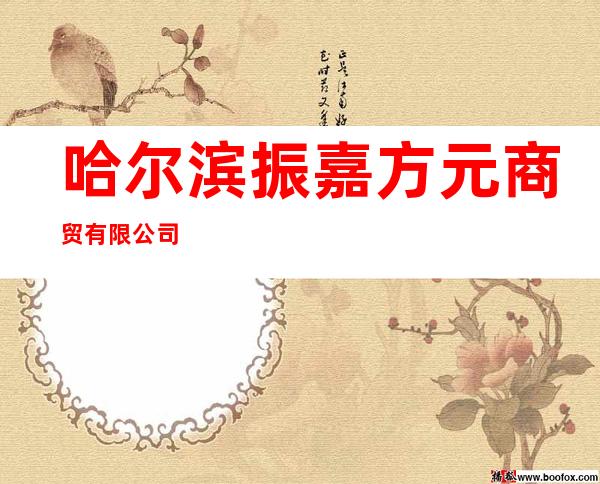 哈尔滨振嘉方元商贸有限公司