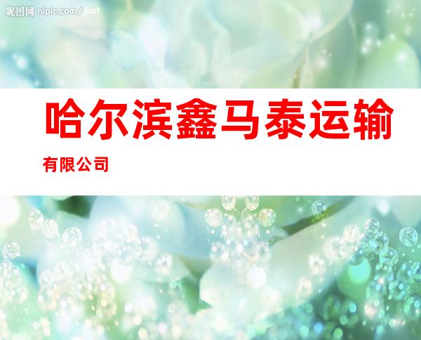 哈尔滨鑫马泰运输有限公司