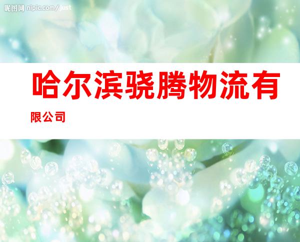 哈尔滨骁腾物流有限公司