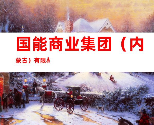 国能商业集团（内蒙古）有限公司