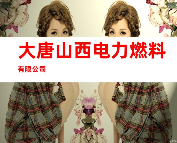 大唐山西电力燃料有限公司