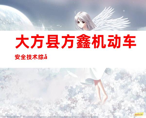 大方县方鑫机动车安全技术综合检测有限公司