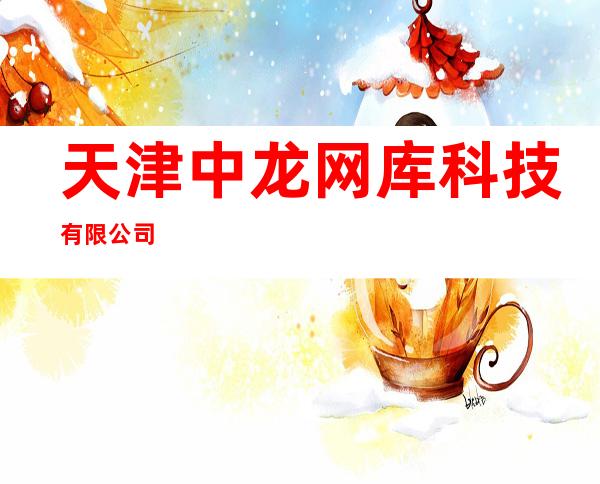 天津中龙网库科技有限公司