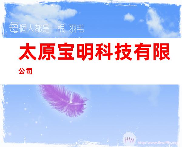 太原宝明科技有限公司