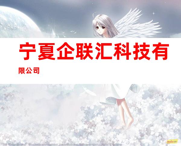 宁夏企联汇科技有限公司