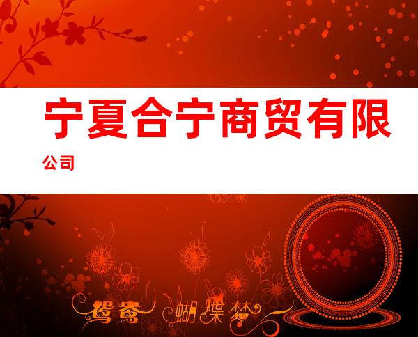 宁夏合宁商贸有限公司