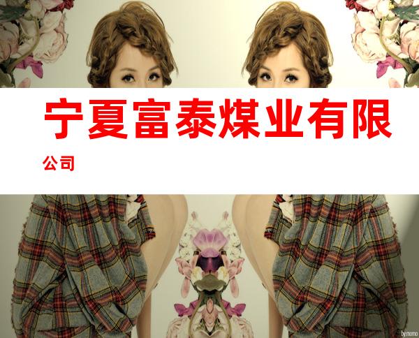 宁夏富泰煤业有限公司