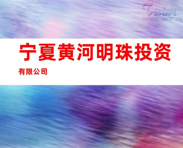 宁夏黄河明珠投资有限公司