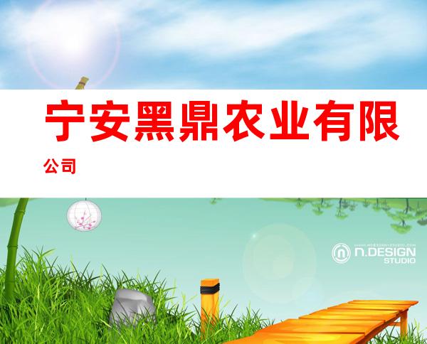 宁安黑鼎农业有限公司