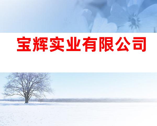 宝辉实业有限公司