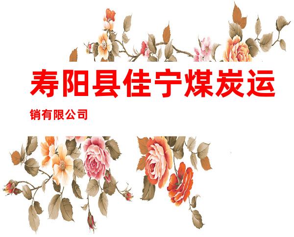寿阳县佳宁煤炭运销有限公司