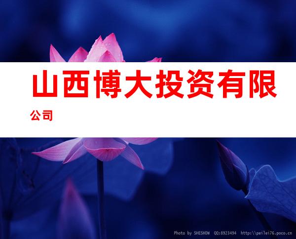 山西博大投资有限公司
